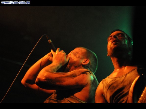 Konzert @ Cat - Bild 99