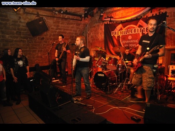  Slartibartfass & Support @ Cat - Bild 53