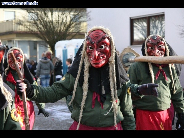 Faschingsumzug @ Dellmensingen - Bild 116