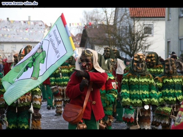 Faschingsumzug @ Dellmensingen - Bild 159