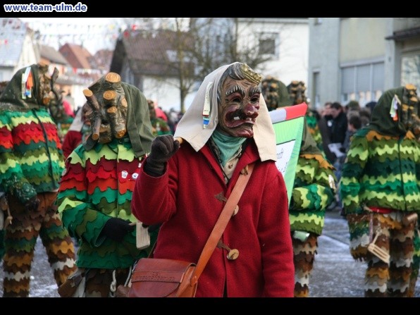 Faschingsumzug @ Dellmensingen - Bild 160