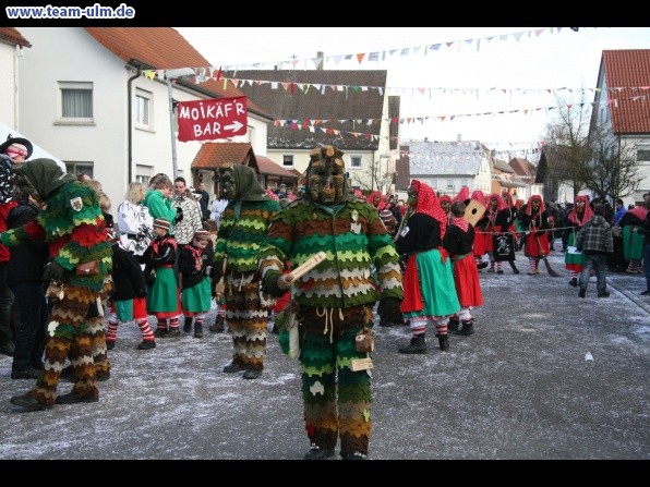 Faschingsumzug @ Dellmensingen - Bild 162
