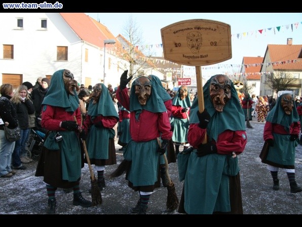 Faschingsumzug @ Dellmensingen - Bild 194