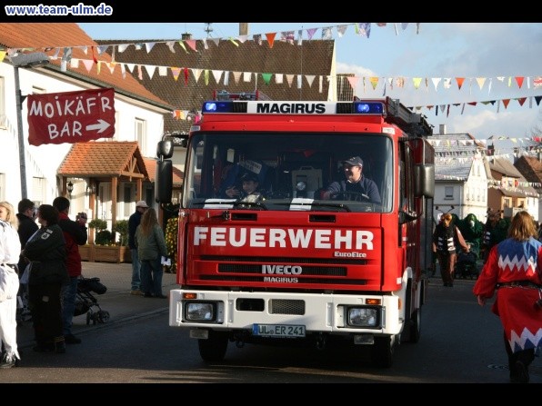 Faschingsumzug @ Dellmensingen - Bild 2