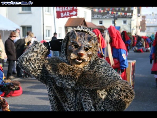 Faschingsumzug @ Dellmensingen - Bild 20
