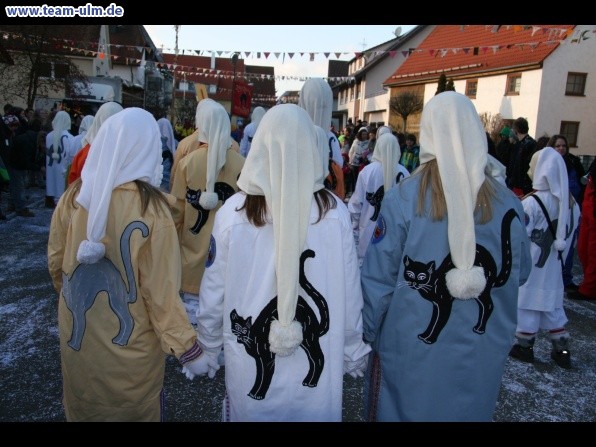 Faschingsumzug @ Dellmensingen - Bild 240