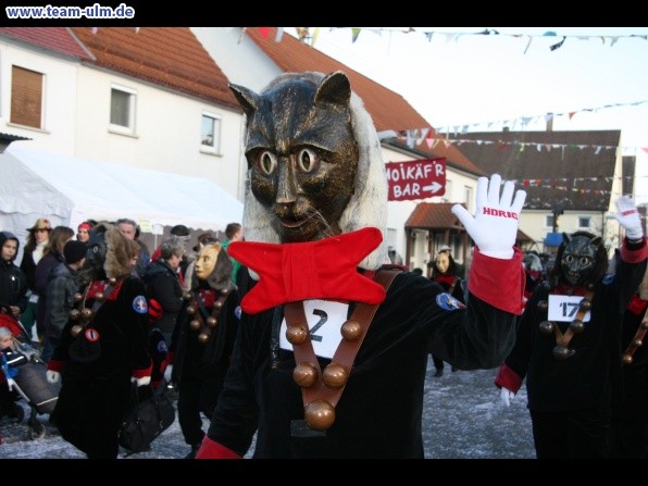 Faschingsumzug @ Dellmensingen - Bild 241