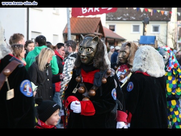 Faschingsumzug @ Dellmensingen - Bild 242