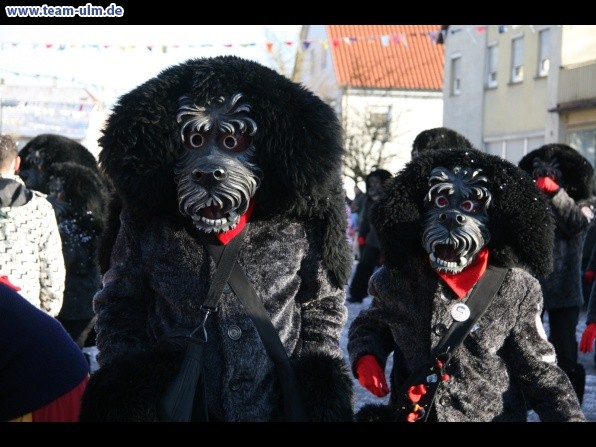 Faschingsumzug @ Dellmensingen - Bild 253