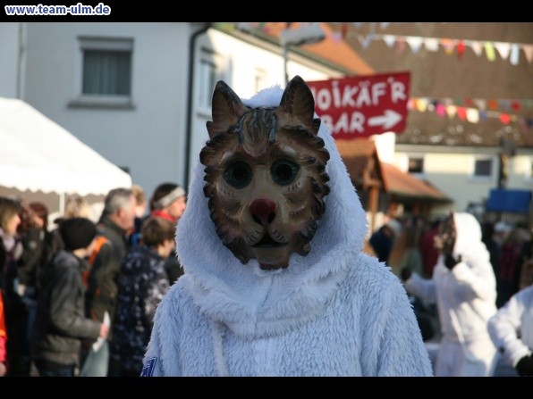 Faschingsumzug @ Dellmensingen - Bild 282