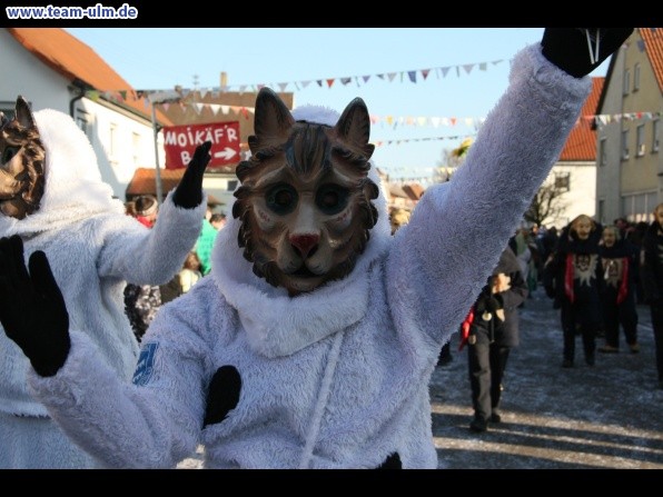Faschingsumzug @ Dellmensingen - Bild 284