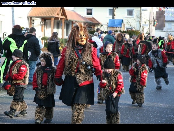 Faschingsumzug @ Dellmensingen - Bild 31