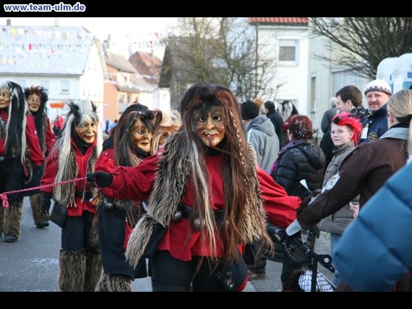 Faschingsumzug @ Dellmensingen - Bild 33