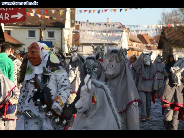 Faschingsumzug @ Dellmensingen - Bild 339