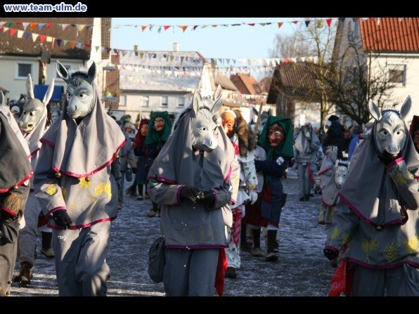 Faschingsumzug @ Dellmensingen - Bild 341