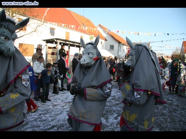 Faschingsumzug @ Dellmensingen - Bild 342