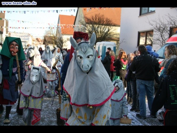 Faschingsumzug @ Dellmensingen - Bild 343