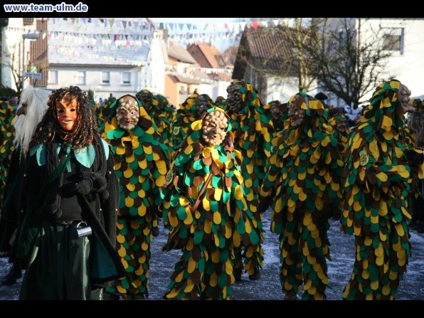 Faschingsumzug @ Dellmensingen - Bild 350