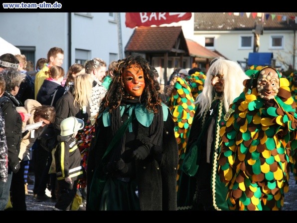 Faschingsumzug @ Dellmensingen - Bild 351