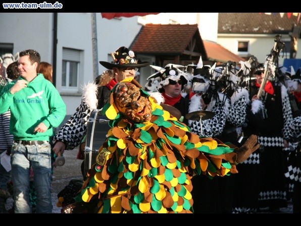 Faschingsumzug @ Dellmensingen - Bild 352