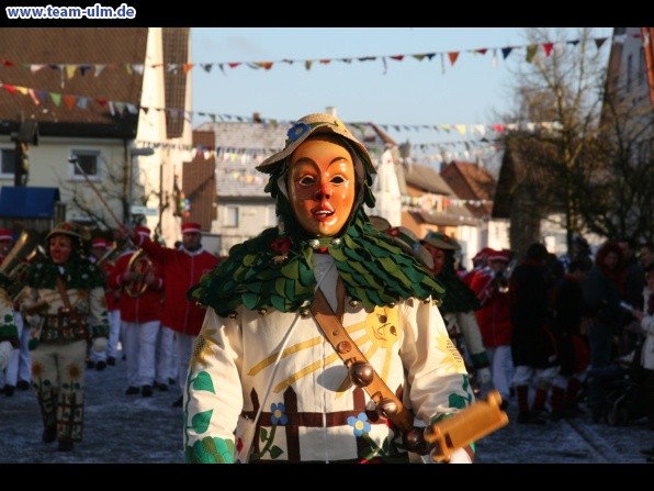Faschingsumzug @ Dellmensingen - Bild 368
