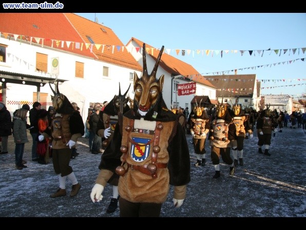 Faschingsumzug @ Dellmensingen - Bild 371