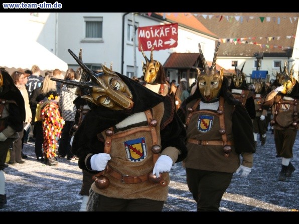 Faschingsumzug @ Dellmensingen - Bild 372