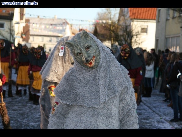 Faschingsumzug @ Dellmensingen - Bild 378