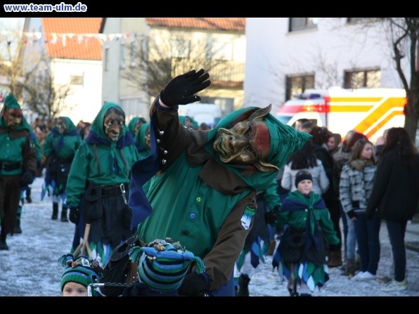 Faschingsumzug @ Dellmensingen - Bild 386