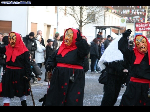 Faschingsumzug @ Dellmensingen - Bild 41