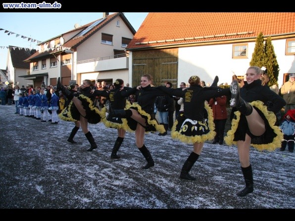 Faschingsumzug @ Dellmensingen - Bild 425