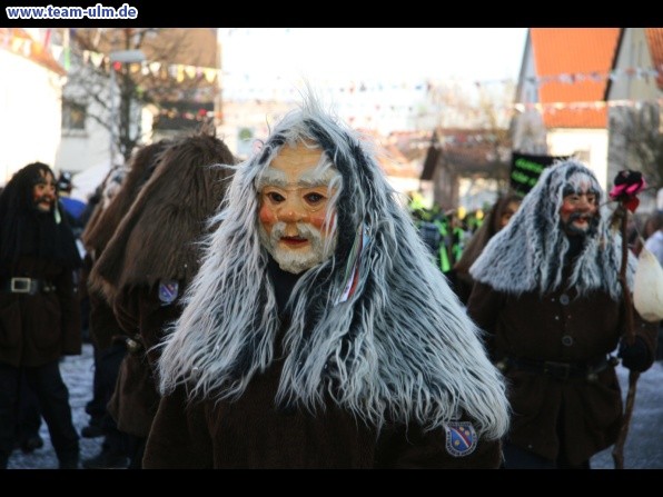 Faschingsumzug @ Dellmensingen - Bild 434