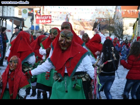 Faschingsumzug @ Dellmensingen - Bild 441
