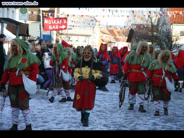Faschingsumzug @ Dellmensingen - Bild 457