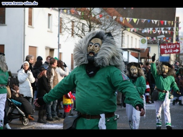 Faschingsumzug @ Dellmensingen - Bild 46