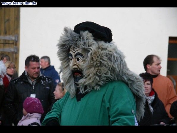 Faschingsumzug @ Dellmensingen - Bild 49