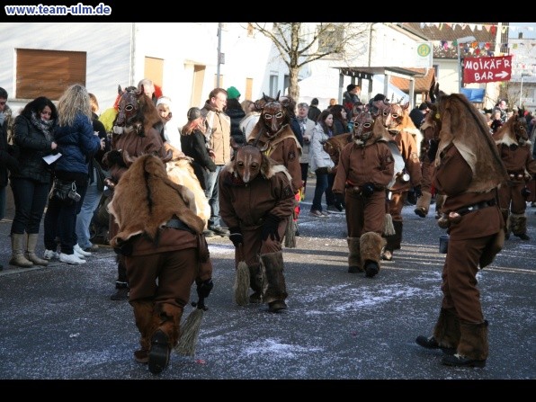 Faschingsumzug @ Dellmensingen - Bild 59