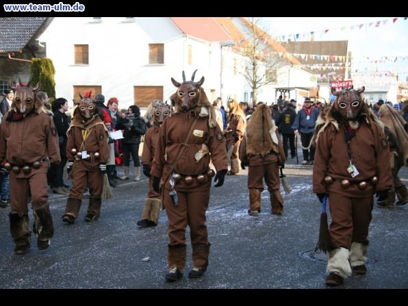 Faschingsumzug @ Dellmensingen - Bild 61