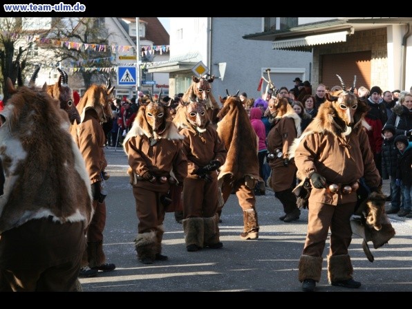 Faschingsumzug @ Dellmensingen - Bild 65