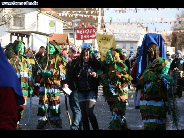 Faschingsumzug @ Dellmensingen - Bild 70