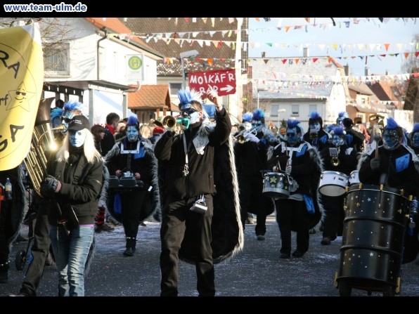 Faschingsumzug @ Dellmensingen - Bild 73