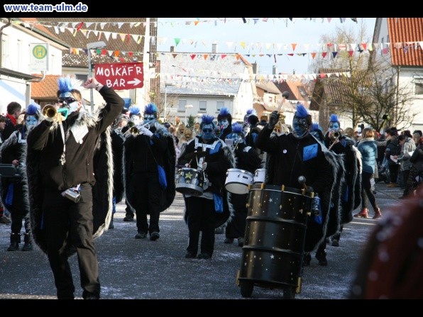 Faschingsumzug @ Dellmensingen - Bild 74