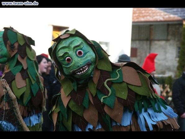 Faschingsumzug @ Dellmensingen - Bild 75