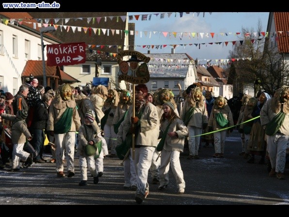 Faschingsumzug @ Dellmensingen - Bild 80