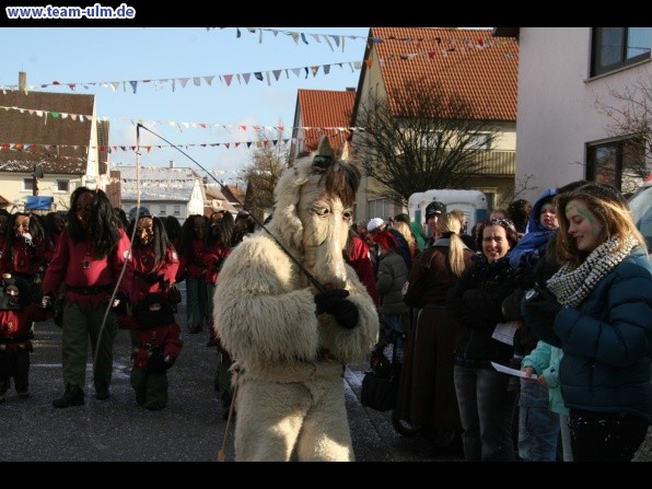 Faschingsumzug @ Dellmensingen - Bild 93