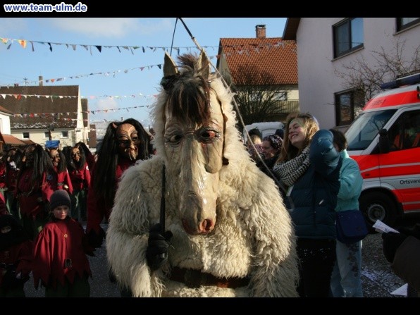 Faschingsumzug @ Dellmensingen - Bild 94