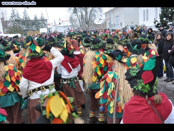Faschingsumzug @ Dietenheim - Bild 101