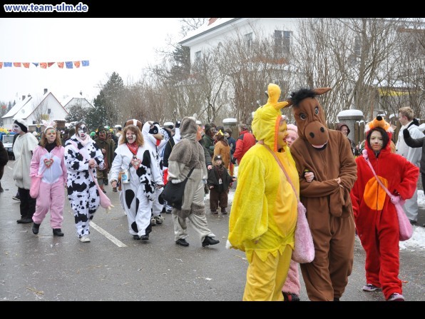 Faschingsumzug @ Dietenheim - Bild 102