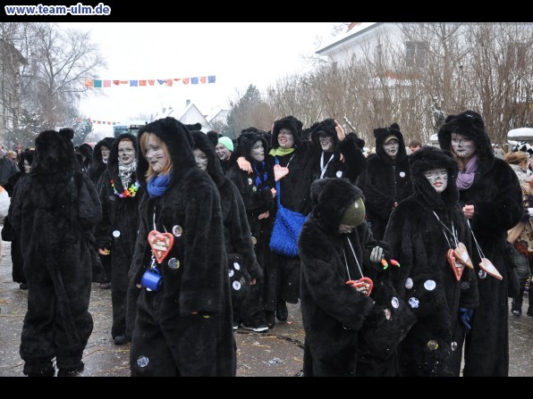 Faschingsumzug @ Dietenheim - Bild 118