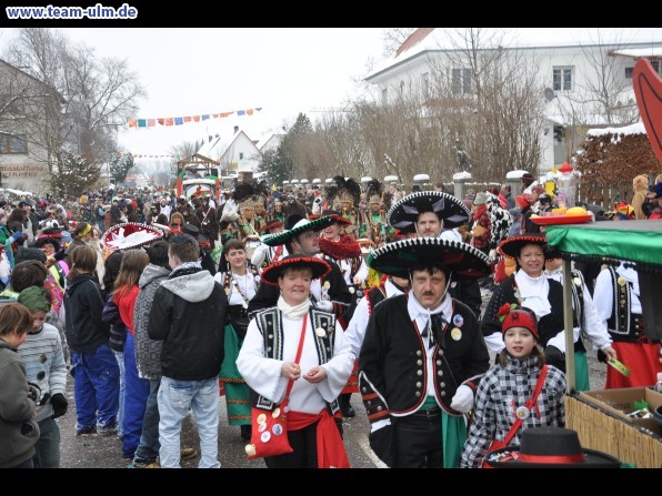 Faschingsumzug @ Dietenheim - Bild 135